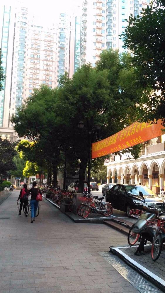 上海大同花园(北区)二手房房源图片