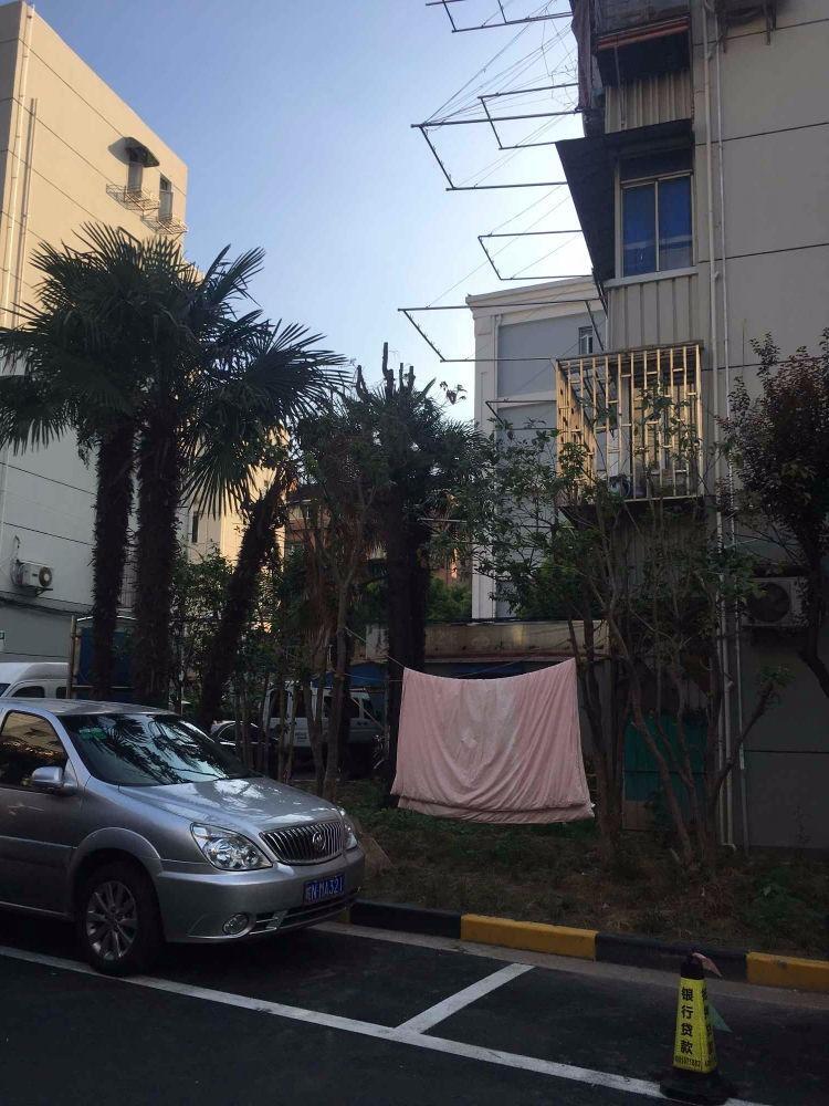 上海洛川中路1100弄小区二手房房源图片