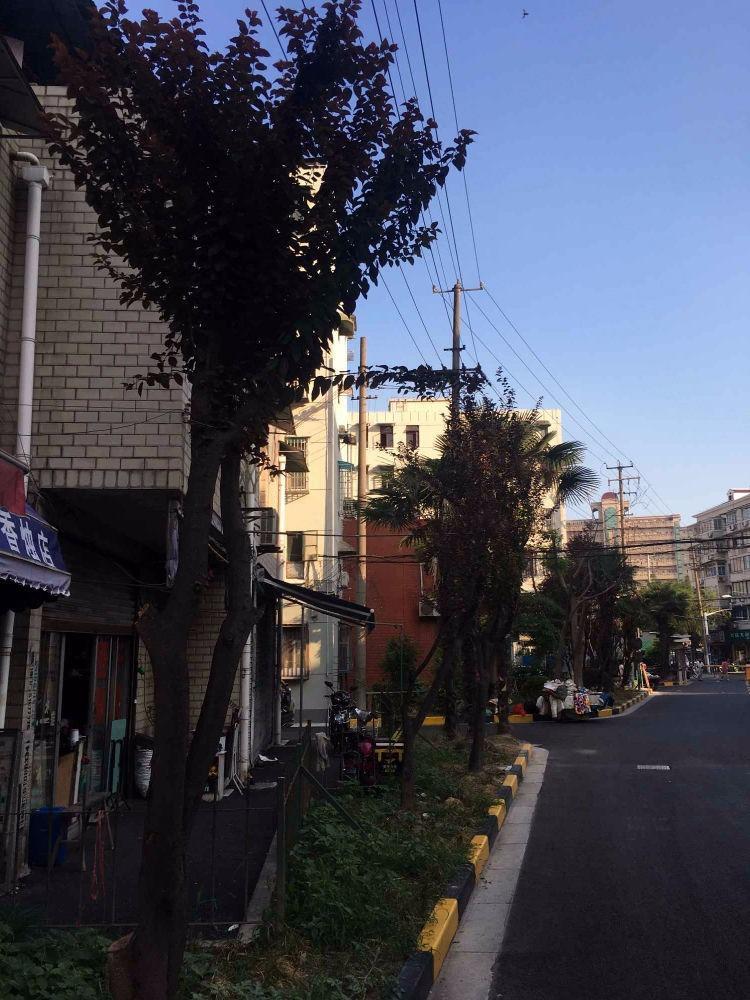 上海洛川中路1100弄小区二手房房源图片
