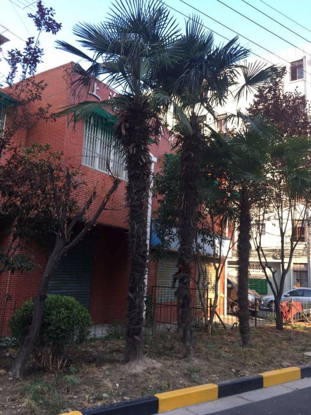 上海洛川中路1100弄小区二手房房源图片