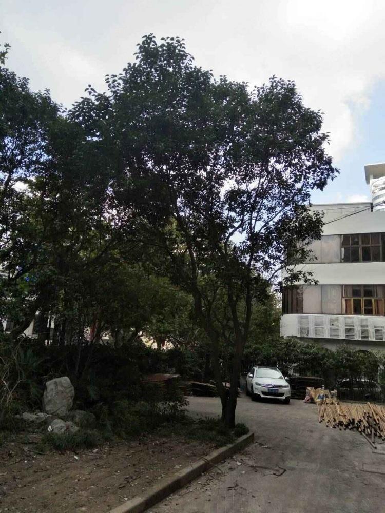 上海赵家桥小区二手房房源图片