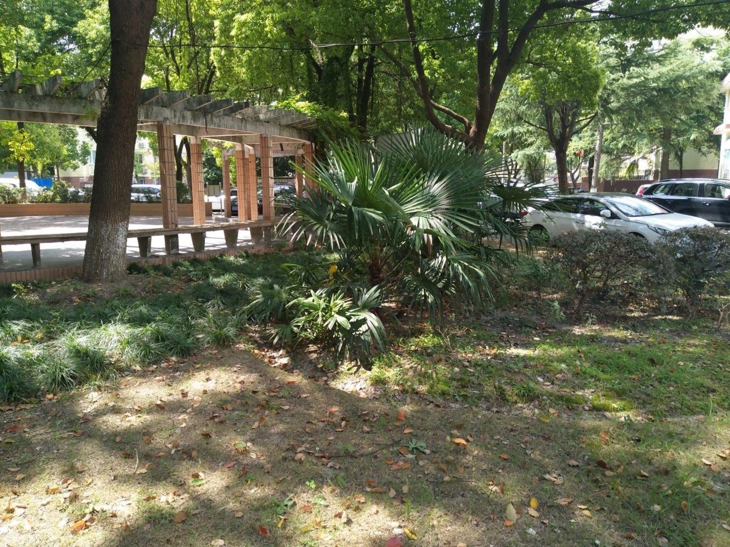 上海古美八村二手房房源图片