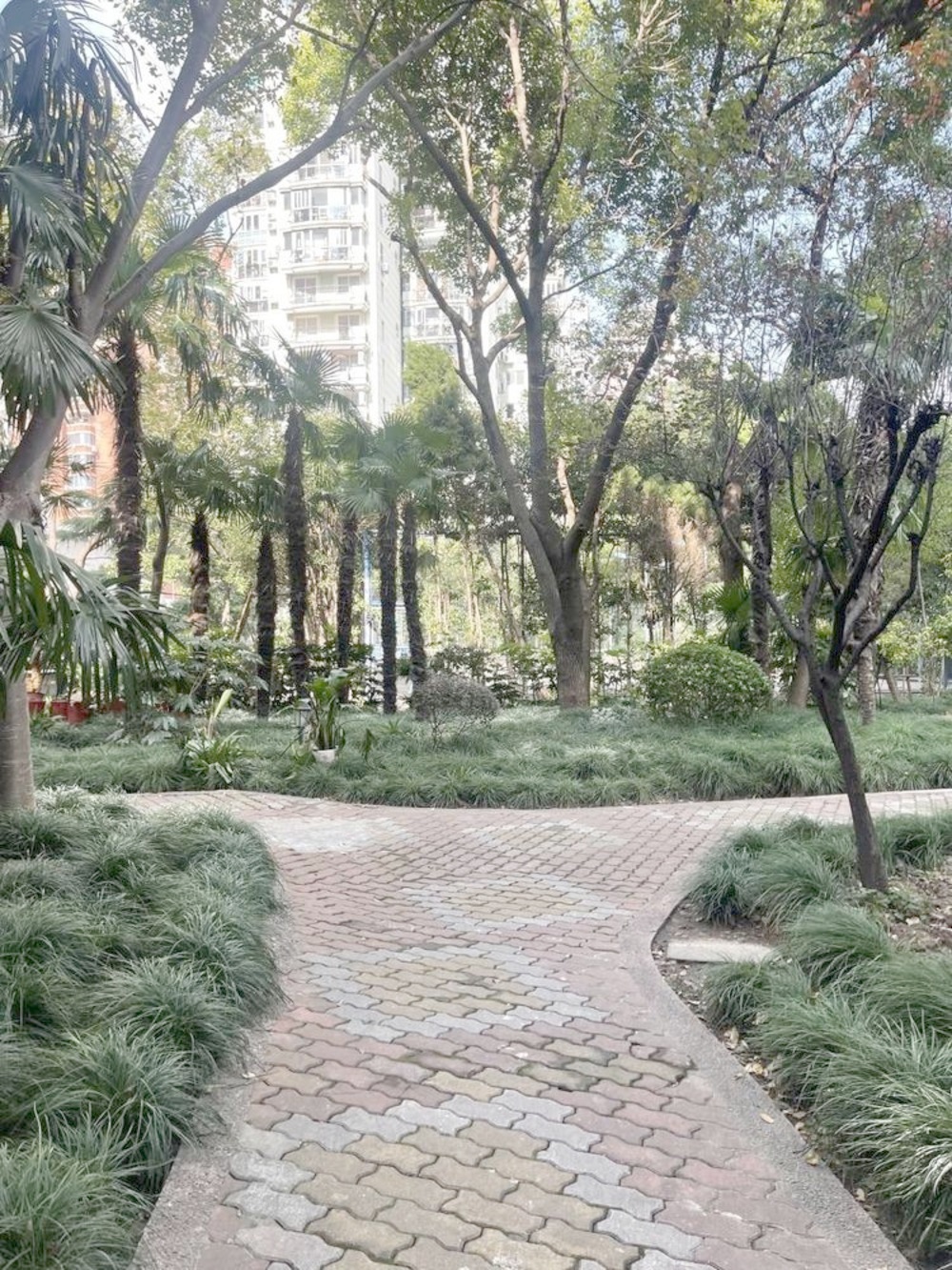 上海徐汇汇景苑二手房房源图片