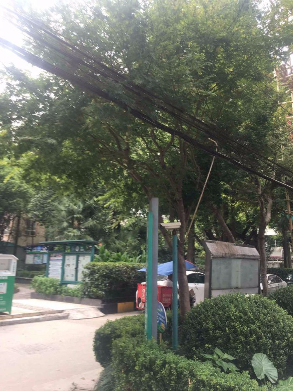 上海大宁新村二手房房源图片