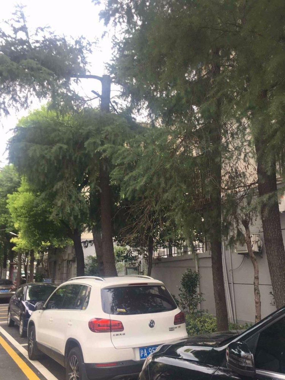 上海上工新村二手房房源图片