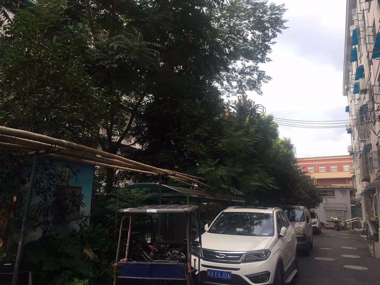 上海上工新村二手房房源图片