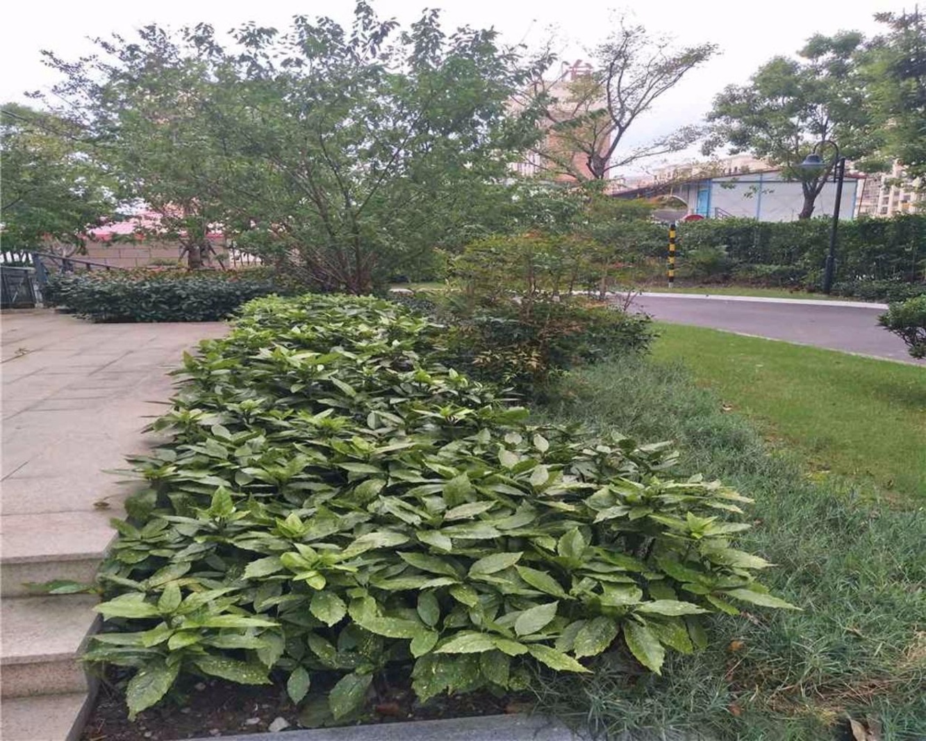 上海森兰壹公馆二手房房源图片