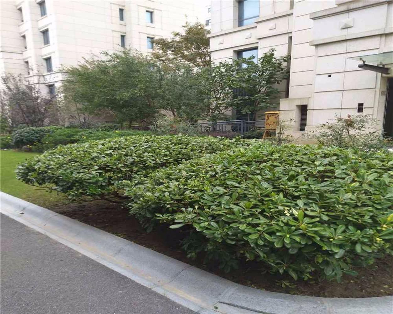 上海森兰壹公馆二手房房源图片