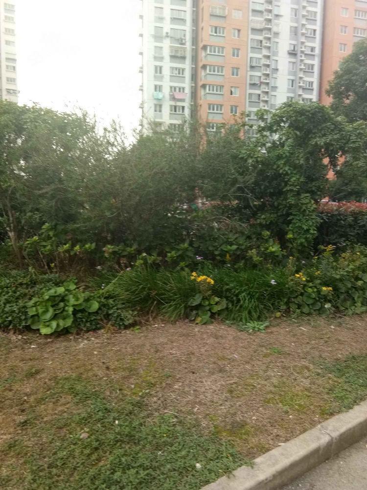 上海欣乐苑东苑二手房房源图片