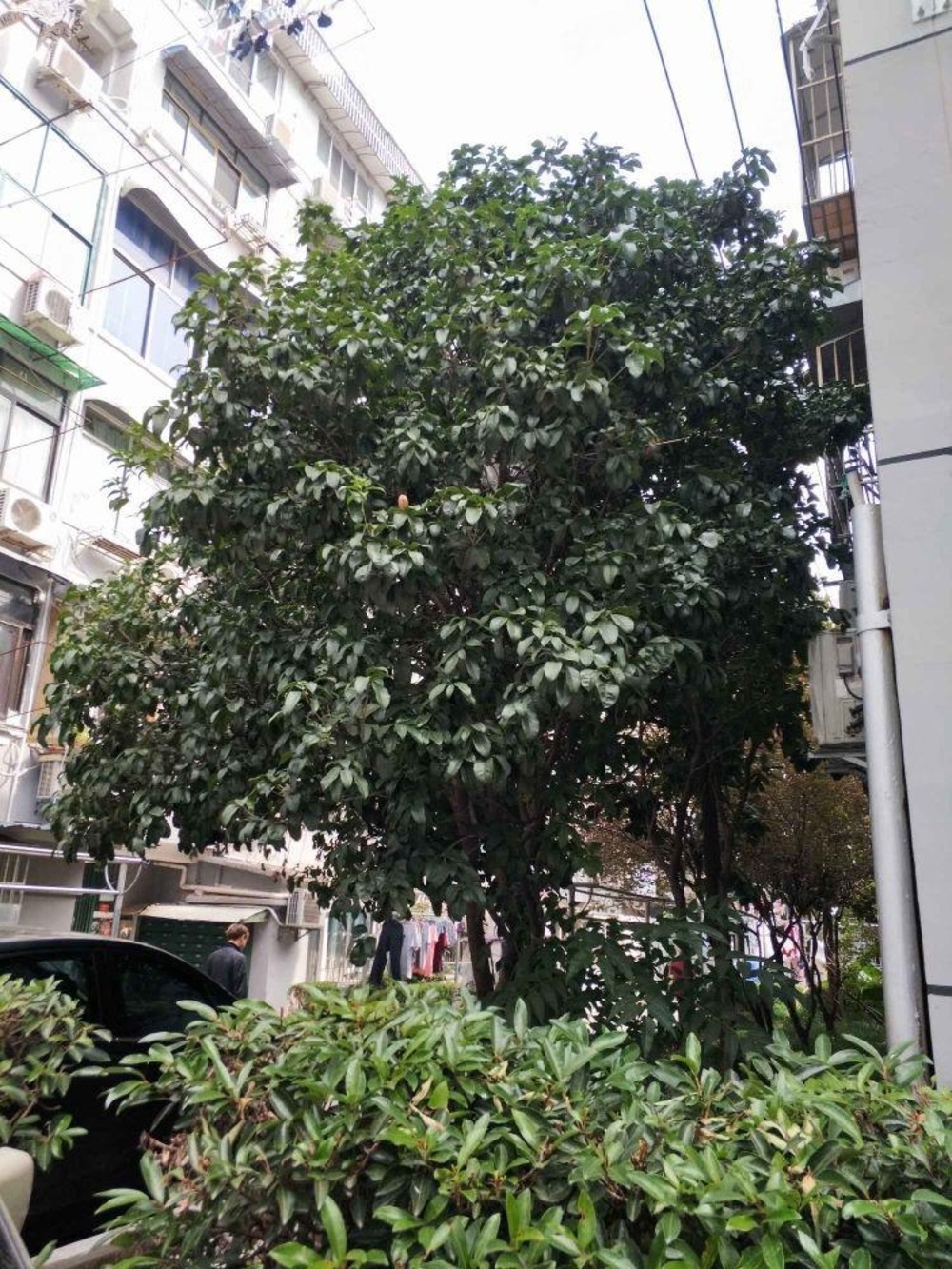 上海商业二村二手房房源图片