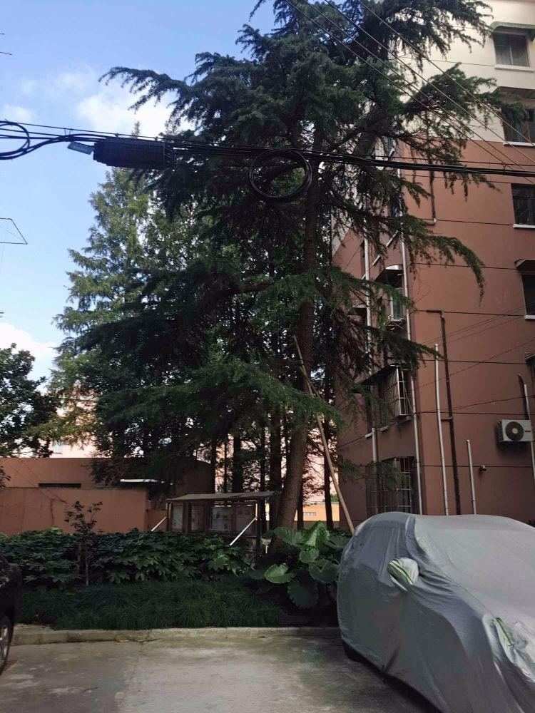 上海怒江路600弄小区二手房房源图片