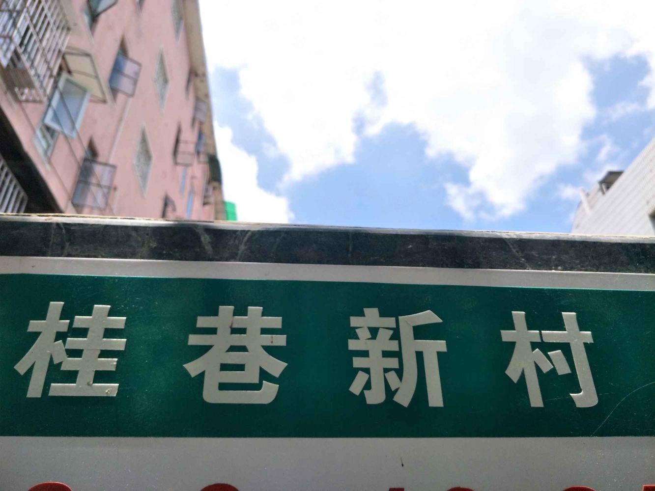 上海桂巷新村二手房房源图片