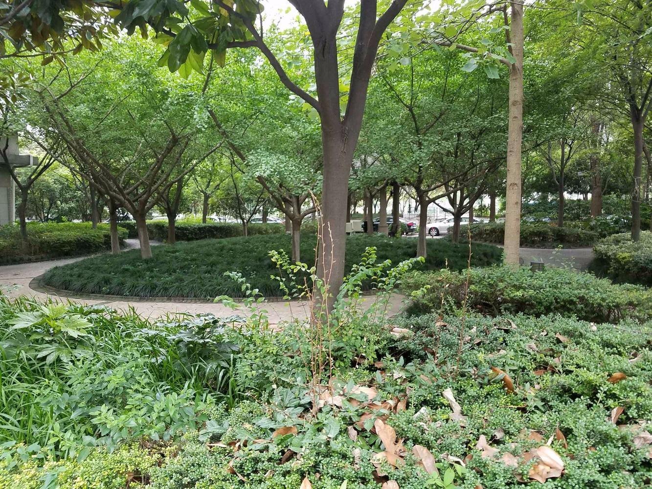 上海中远两湾城(四期)二手房房源图片
