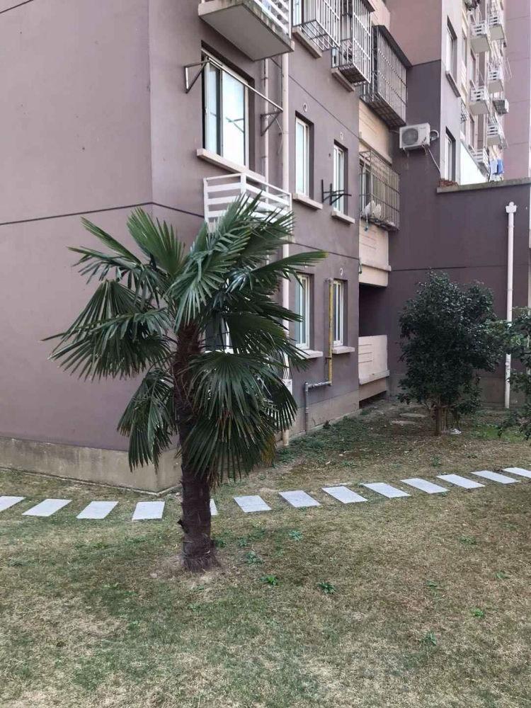 上海德圣苑二手房房源图片