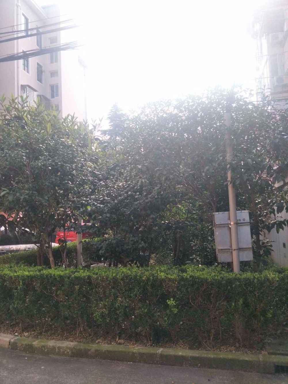 上海张桥小区二手房房源图片