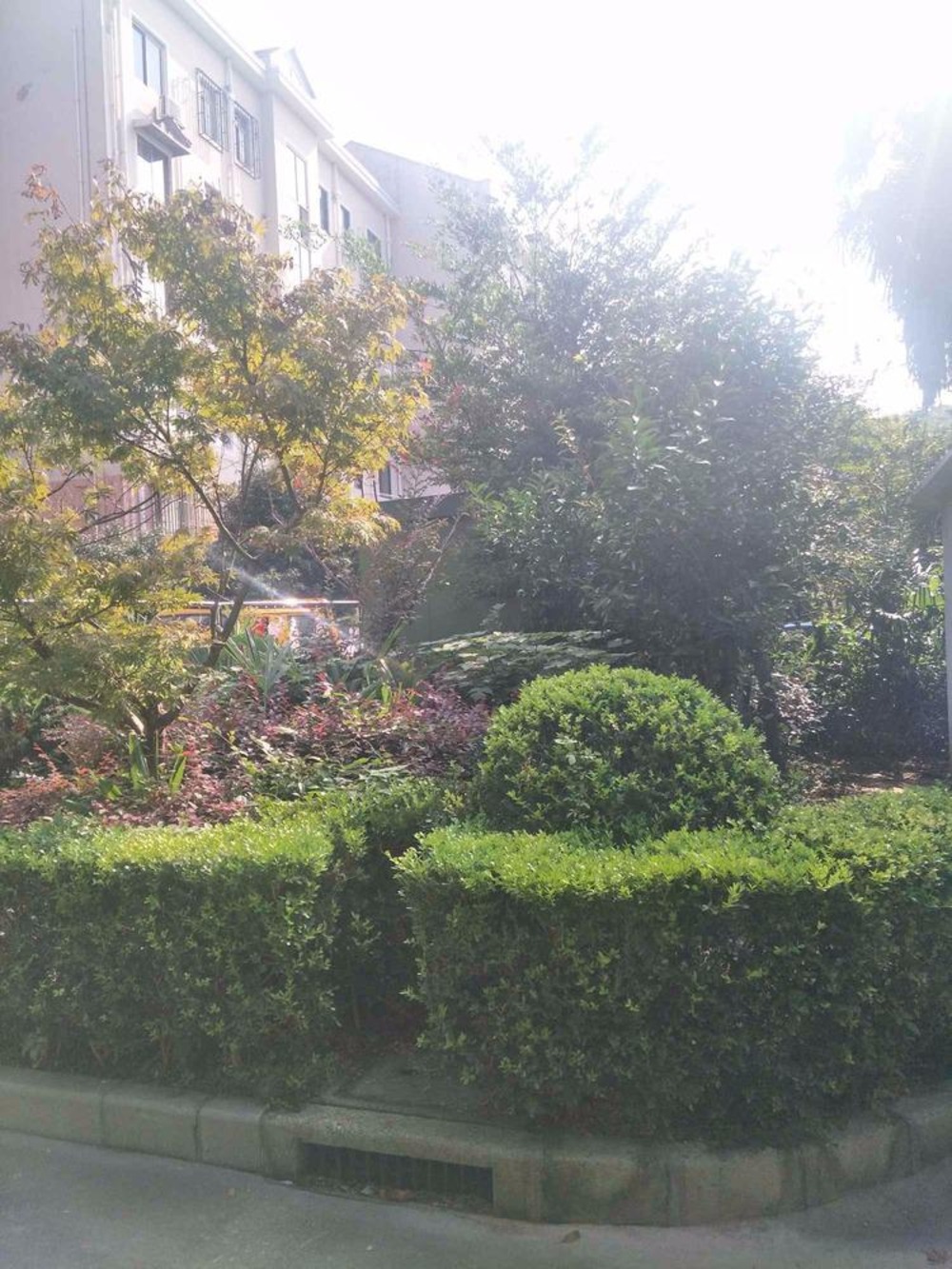 上海张桥小区二手房房源图片