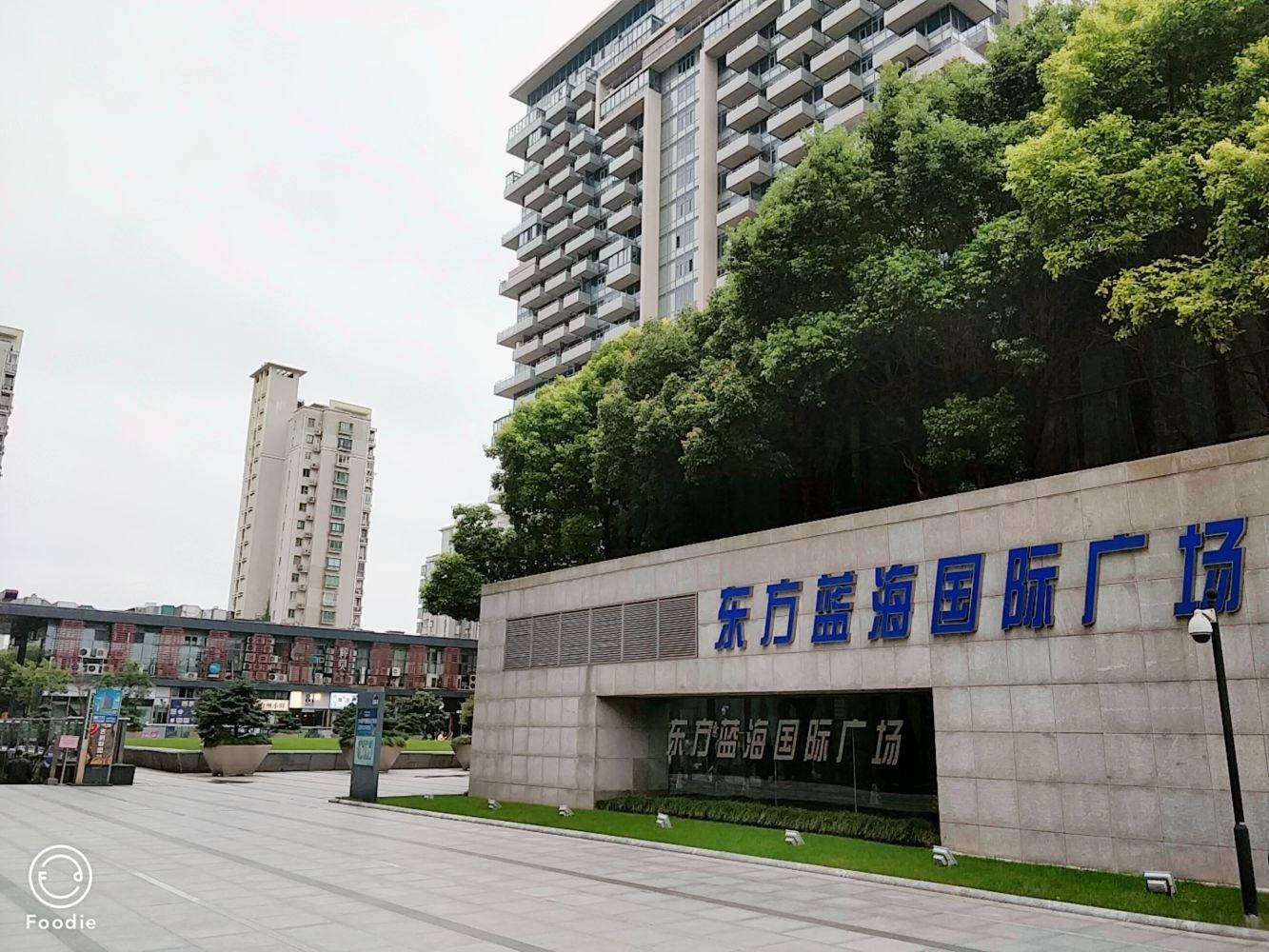 上海东方蓝海国际广场二手房房源图片