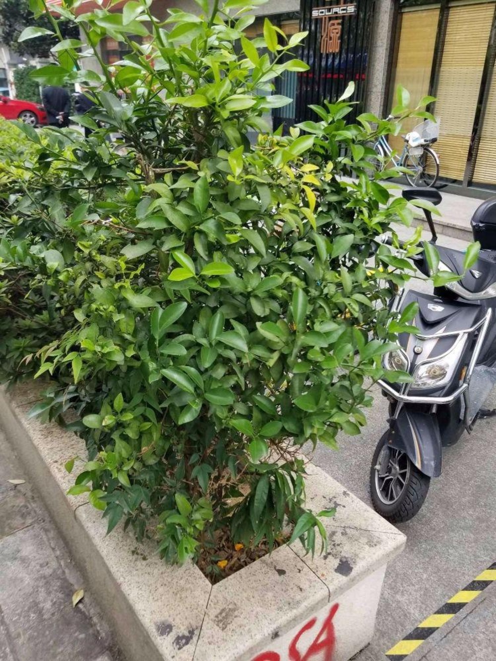 上海河滨国际公寓二手房房源图片