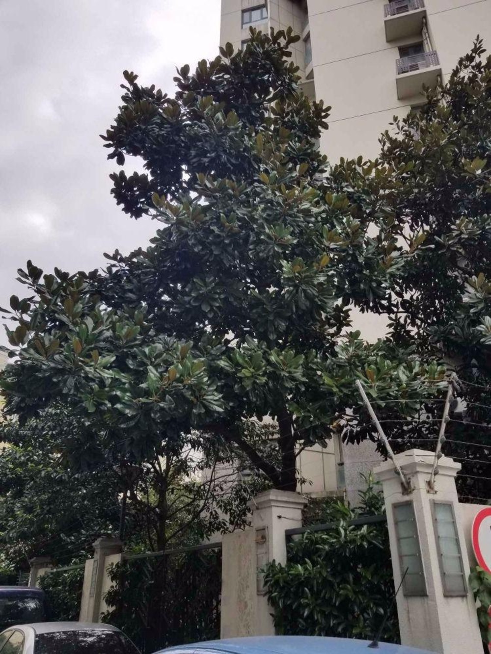 上海河滨国际公寓二手房房源图片
