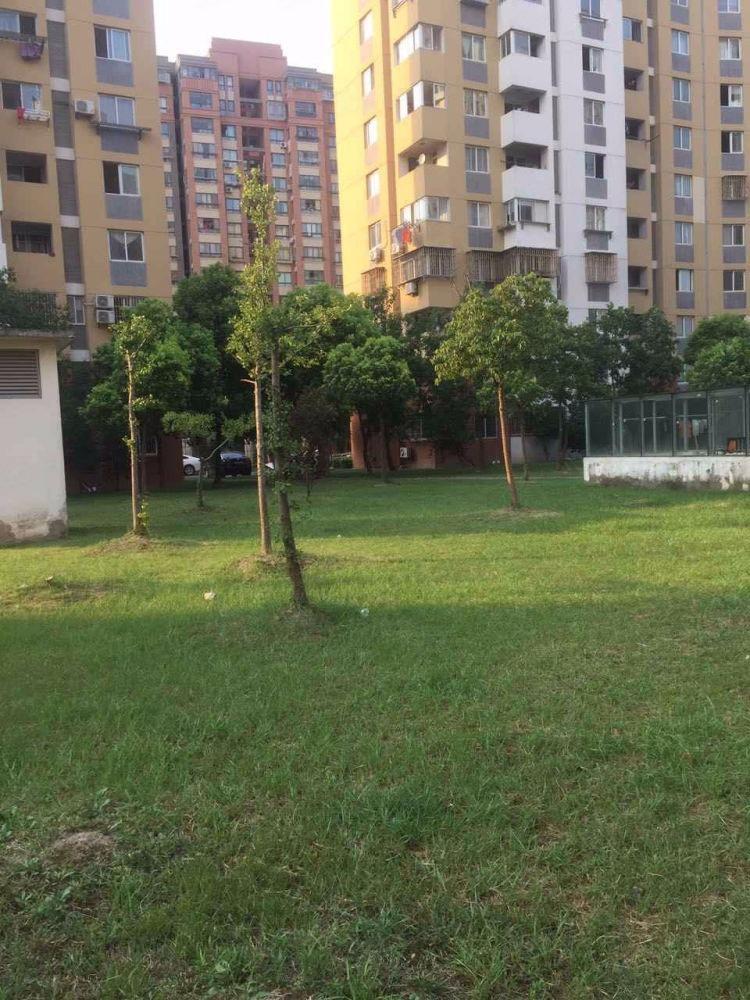 上海舜峰家苑二手房房源图片