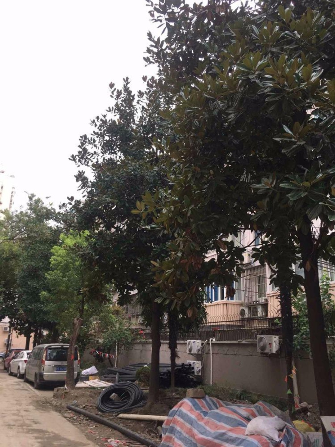 上海延铁小区二手房房源图片