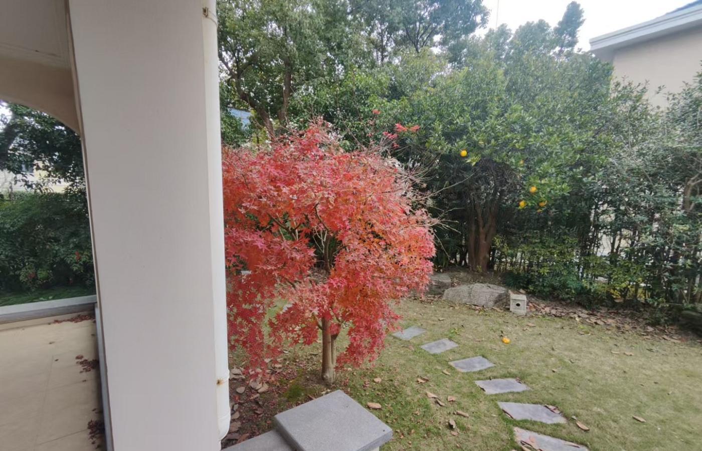 上海杏林花苑二手房房源图片