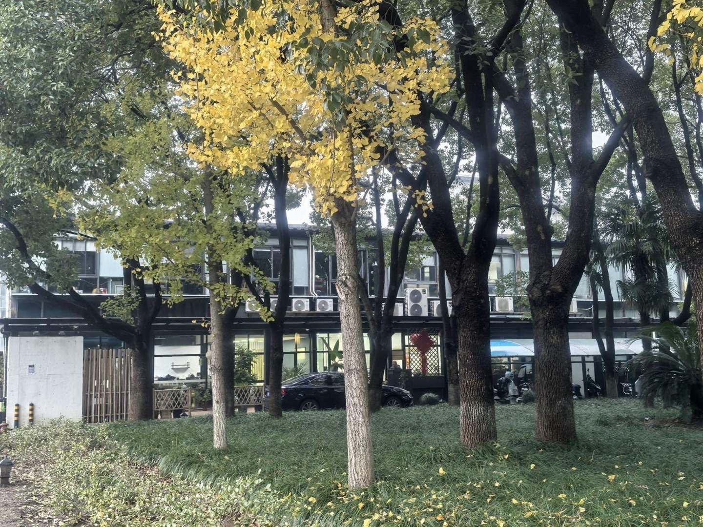 上海乐业康桥树源二手房房源图片