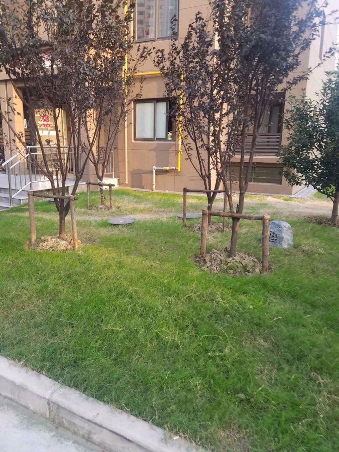 上海练祁佳城盛蔷坊二手房房源图片