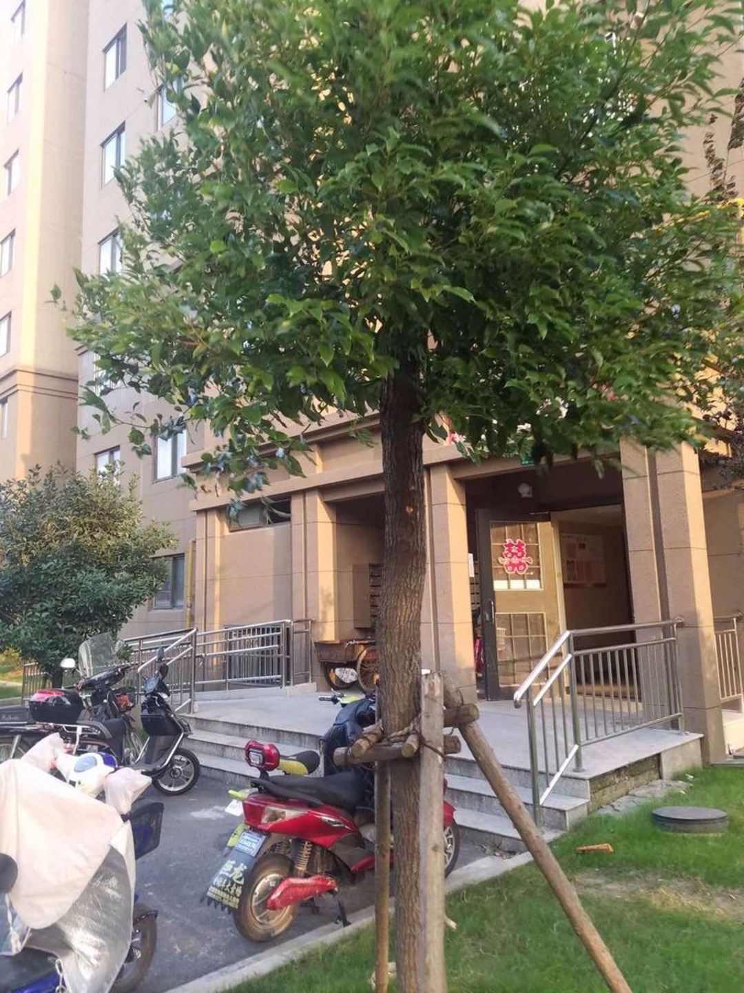 上海练祁佳城盛蔷坊二手房房源图片