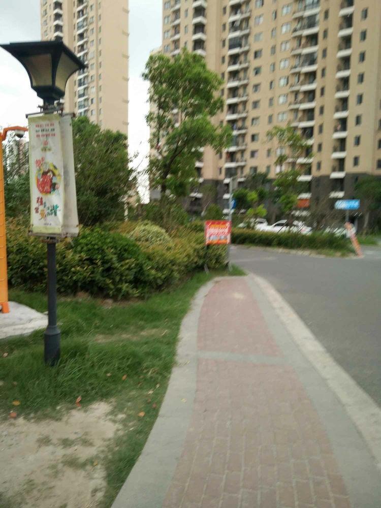 上海金沙湾绿地和苑(一期)二手房房源图片