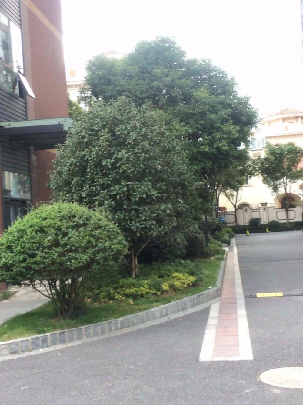 上海金桥智汇公馆二手房房源图片