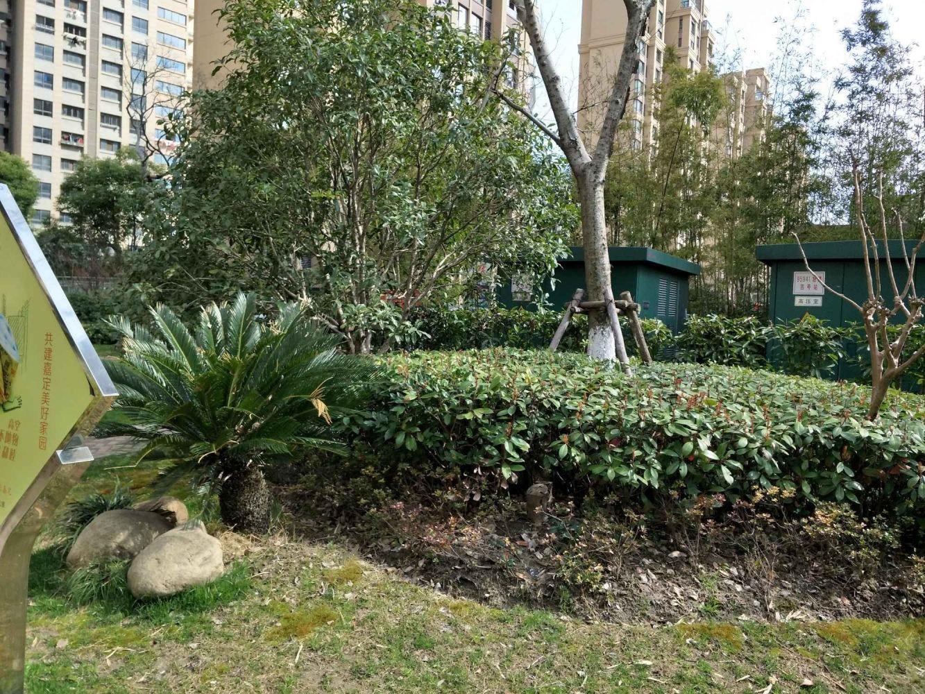 上海旭辉锦庭(西区)二手房房源图片