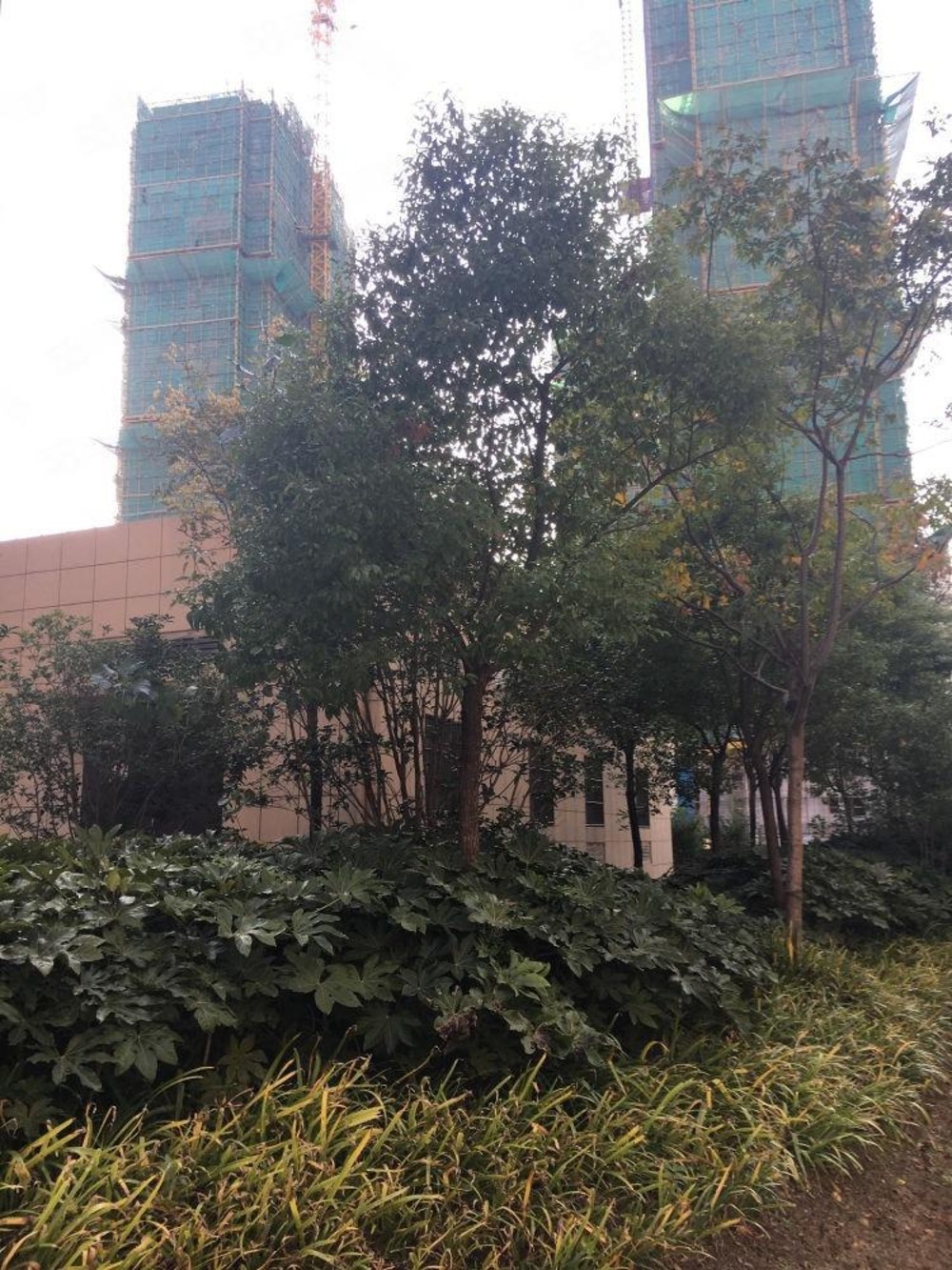 上海景悦名苑二手房房源图片