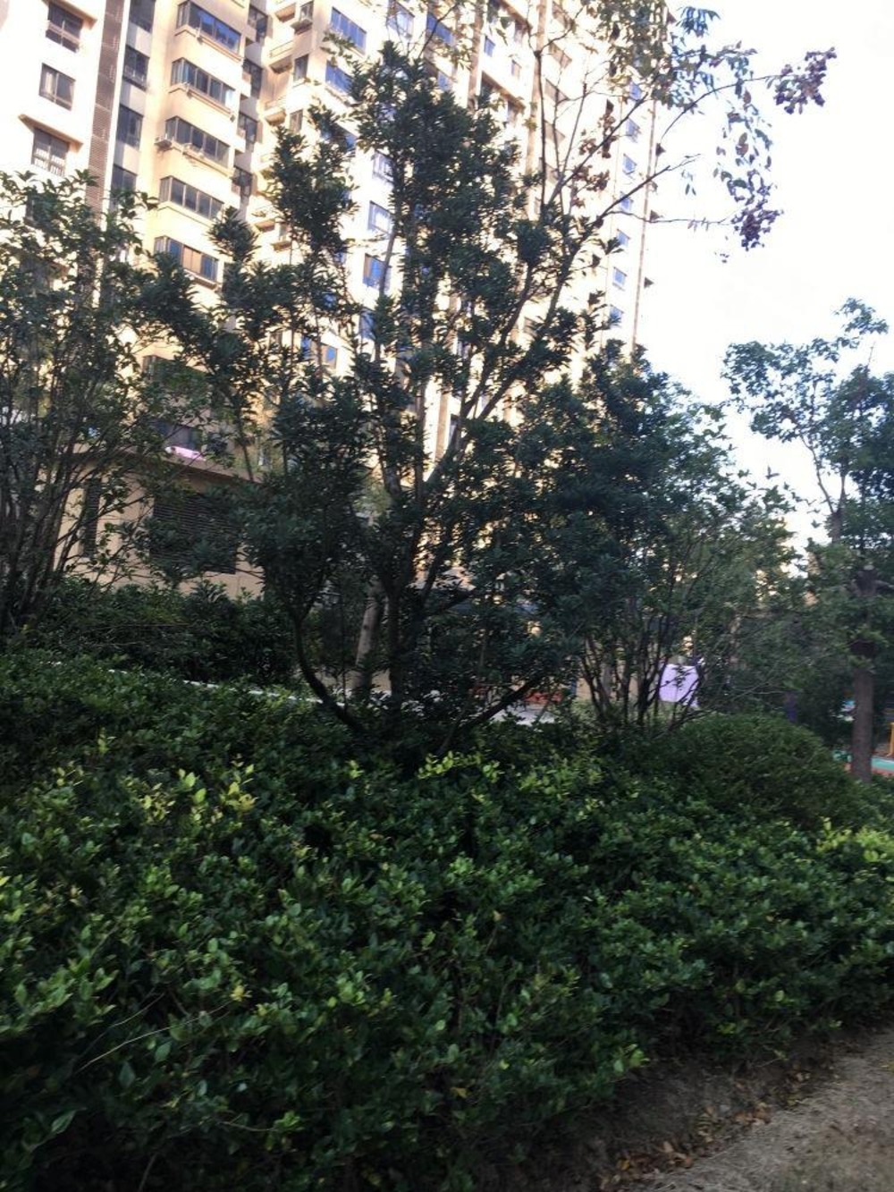 上海景悦名苑二手房房源图片
