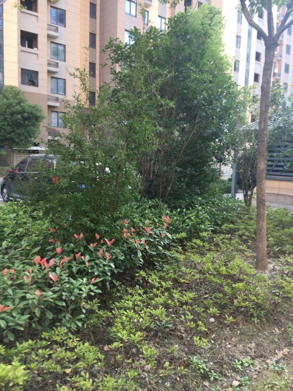 上海景悦名苑二手房房源图片