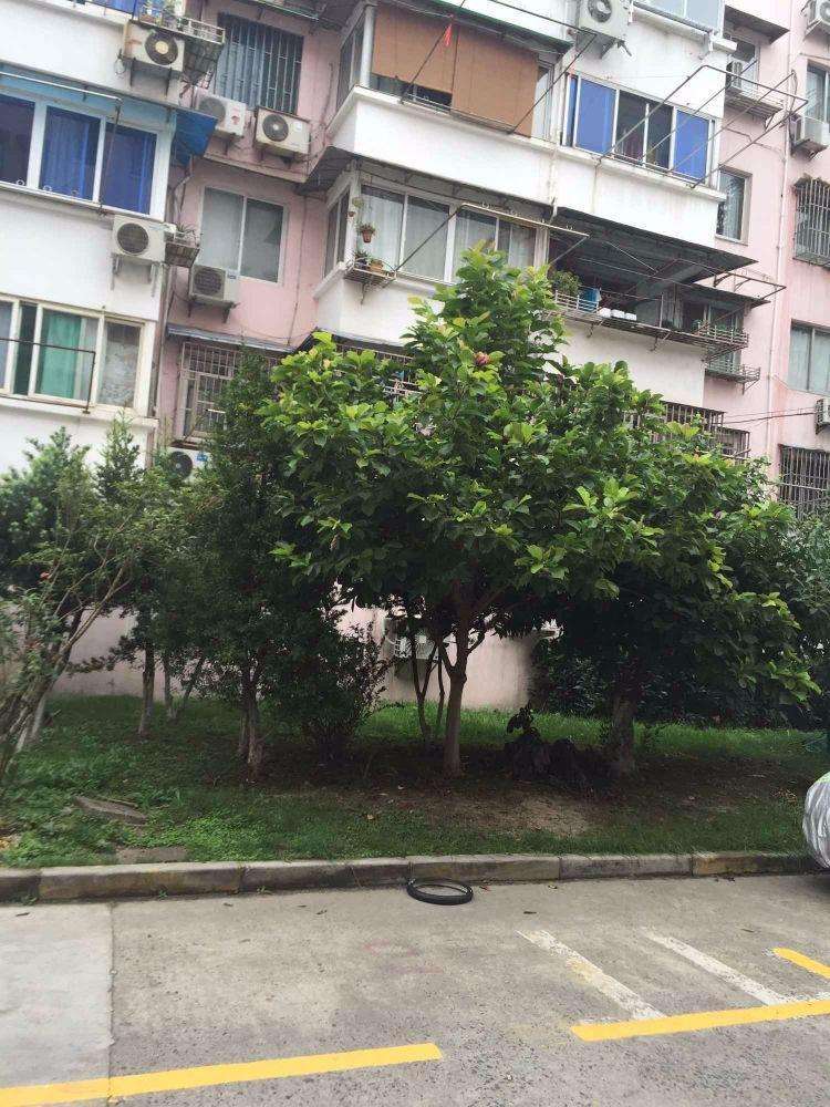 上海莲业新村二手房房源图片