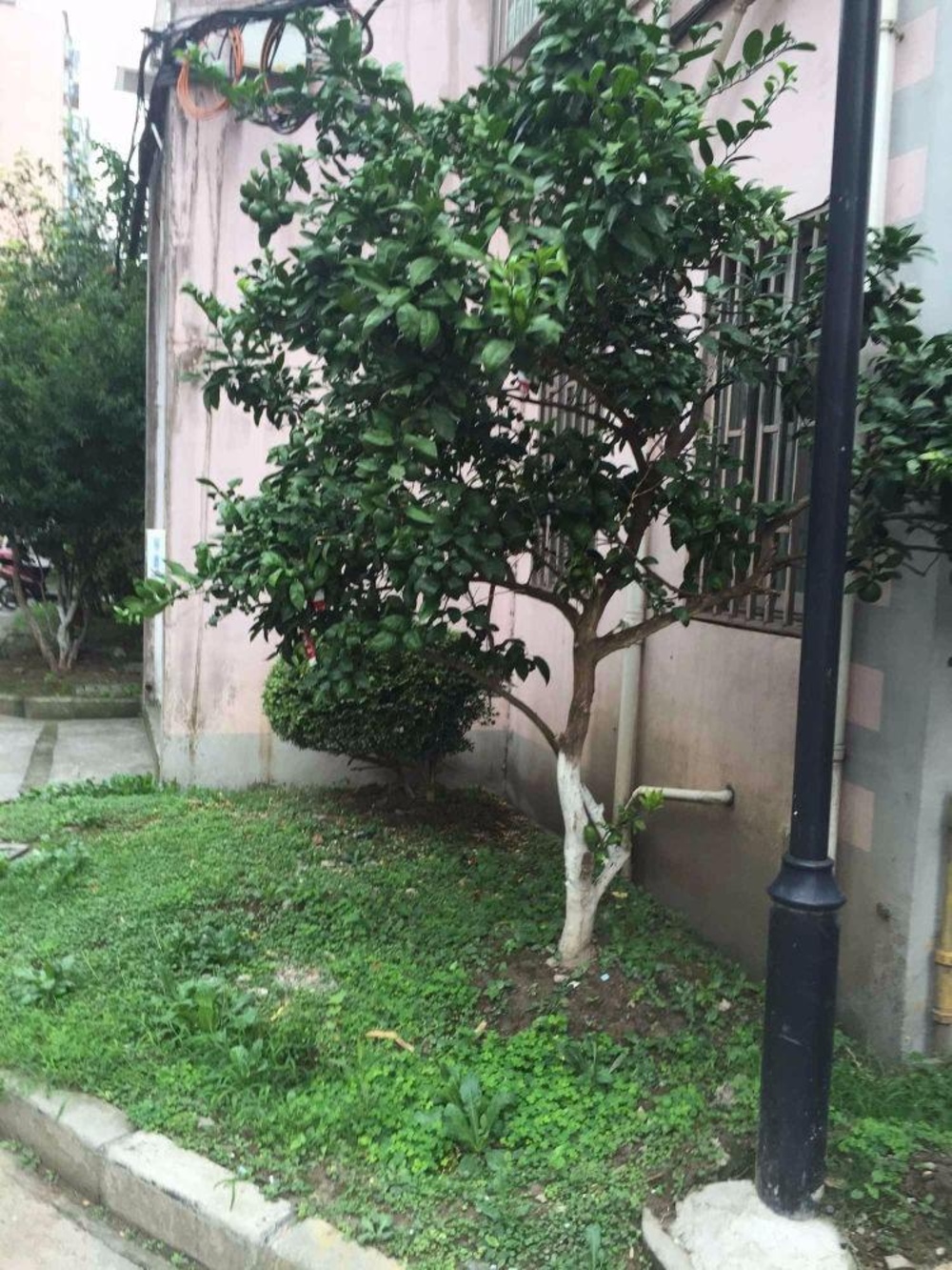 上海莲业新村二手房房源图片