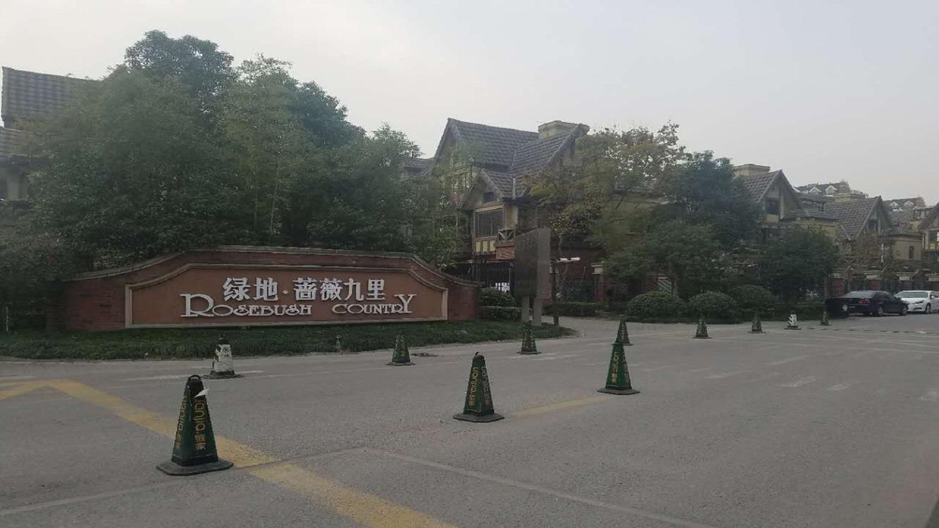 上海绿地蔷薇九里(别墅)二手房房源图片
