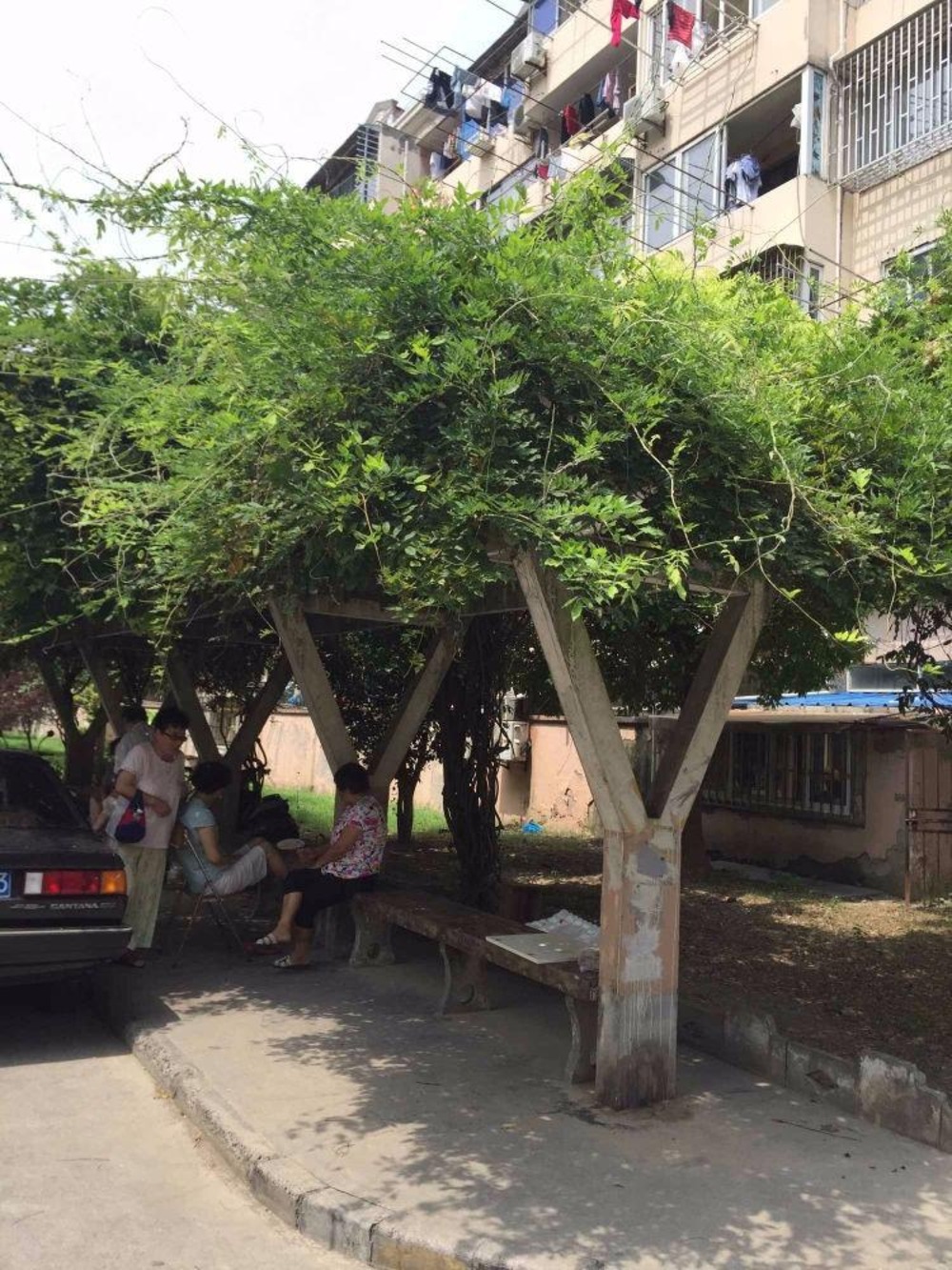 上海绿星小区二手房房源图片