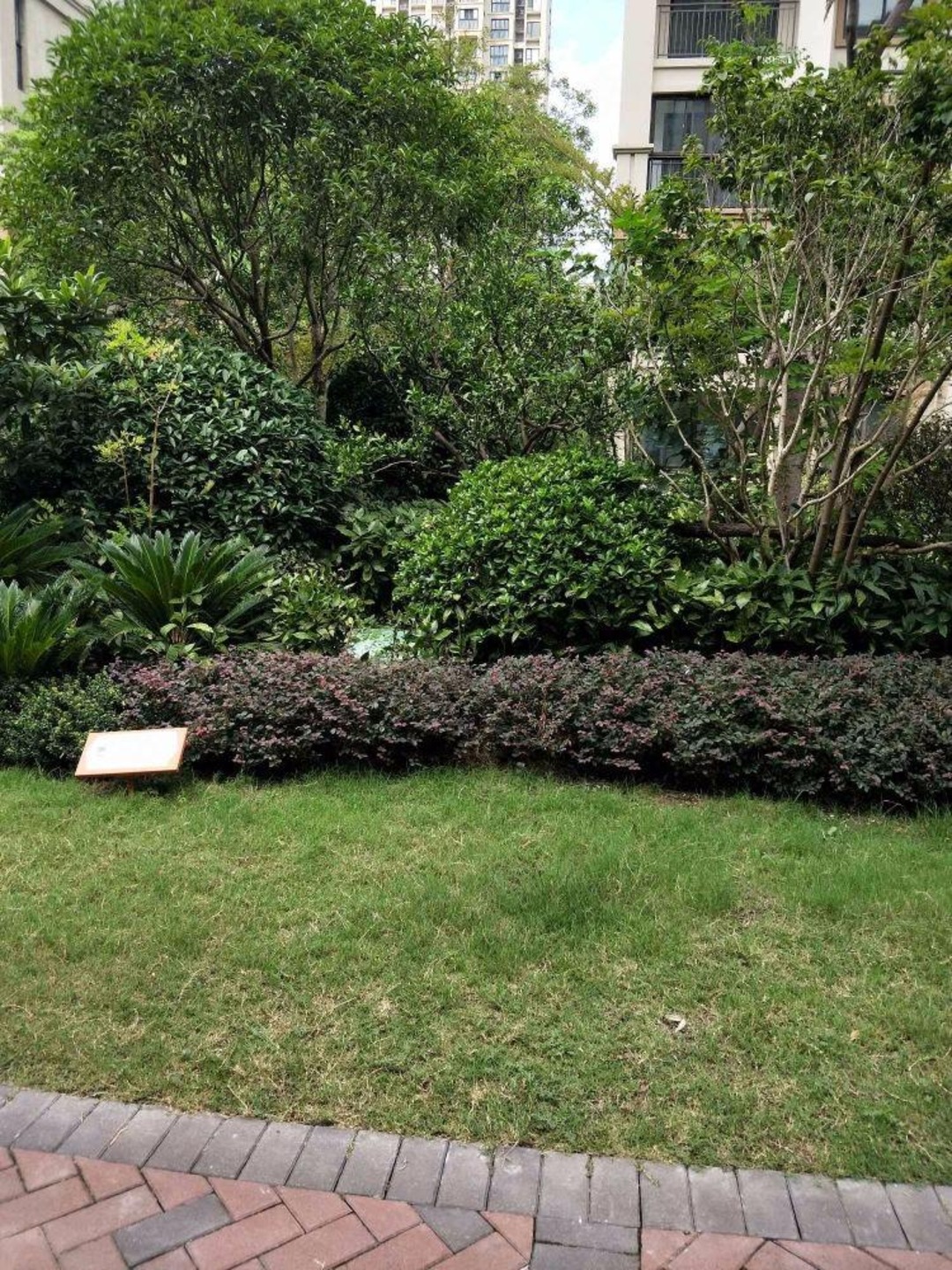 上海旭辉锦庭(东区)二手房房源图片