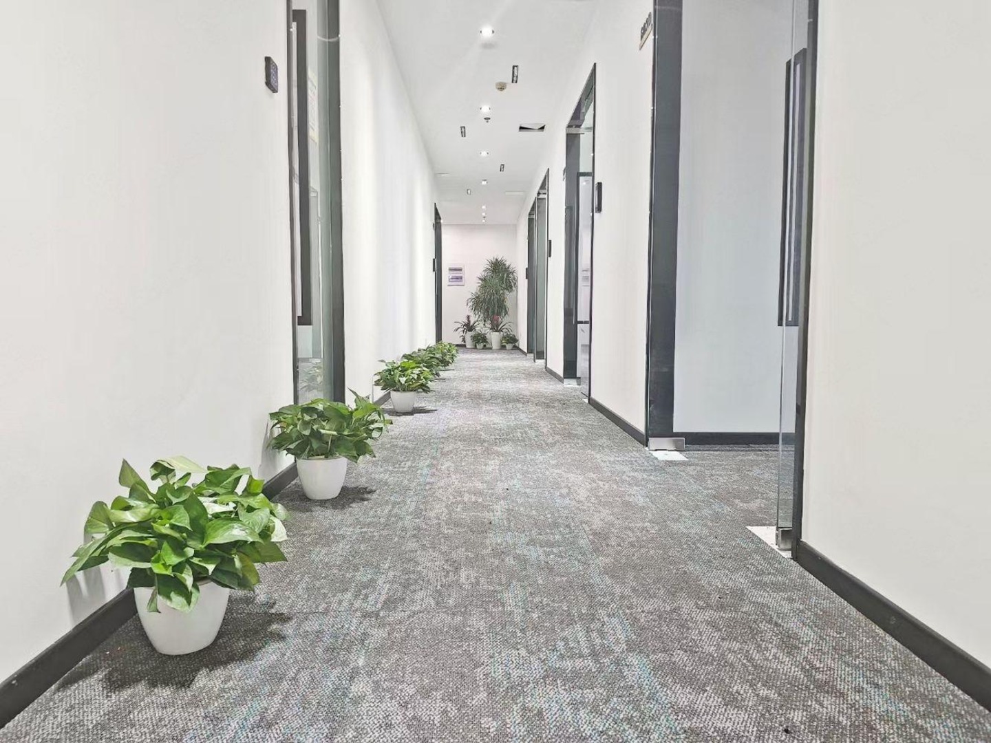 上海张江集电港二手房房源图片