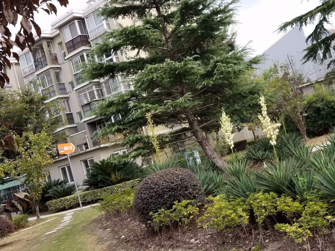 上海巷佳华苑(二期)二手房房源图片