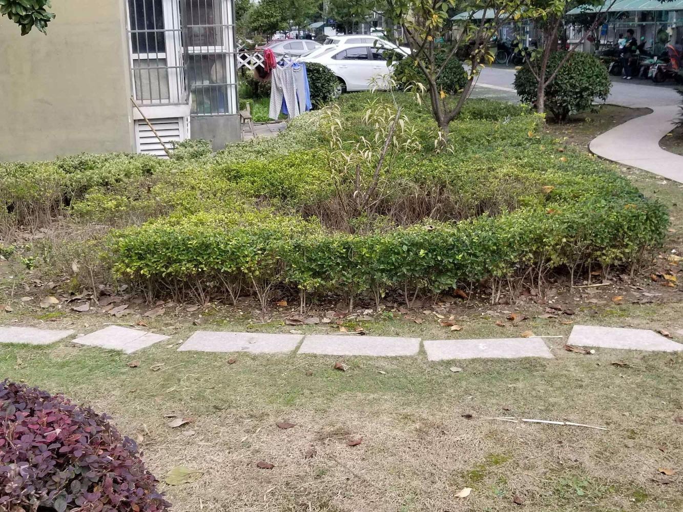 上海巷佳华苑(二期)二手房房源图片