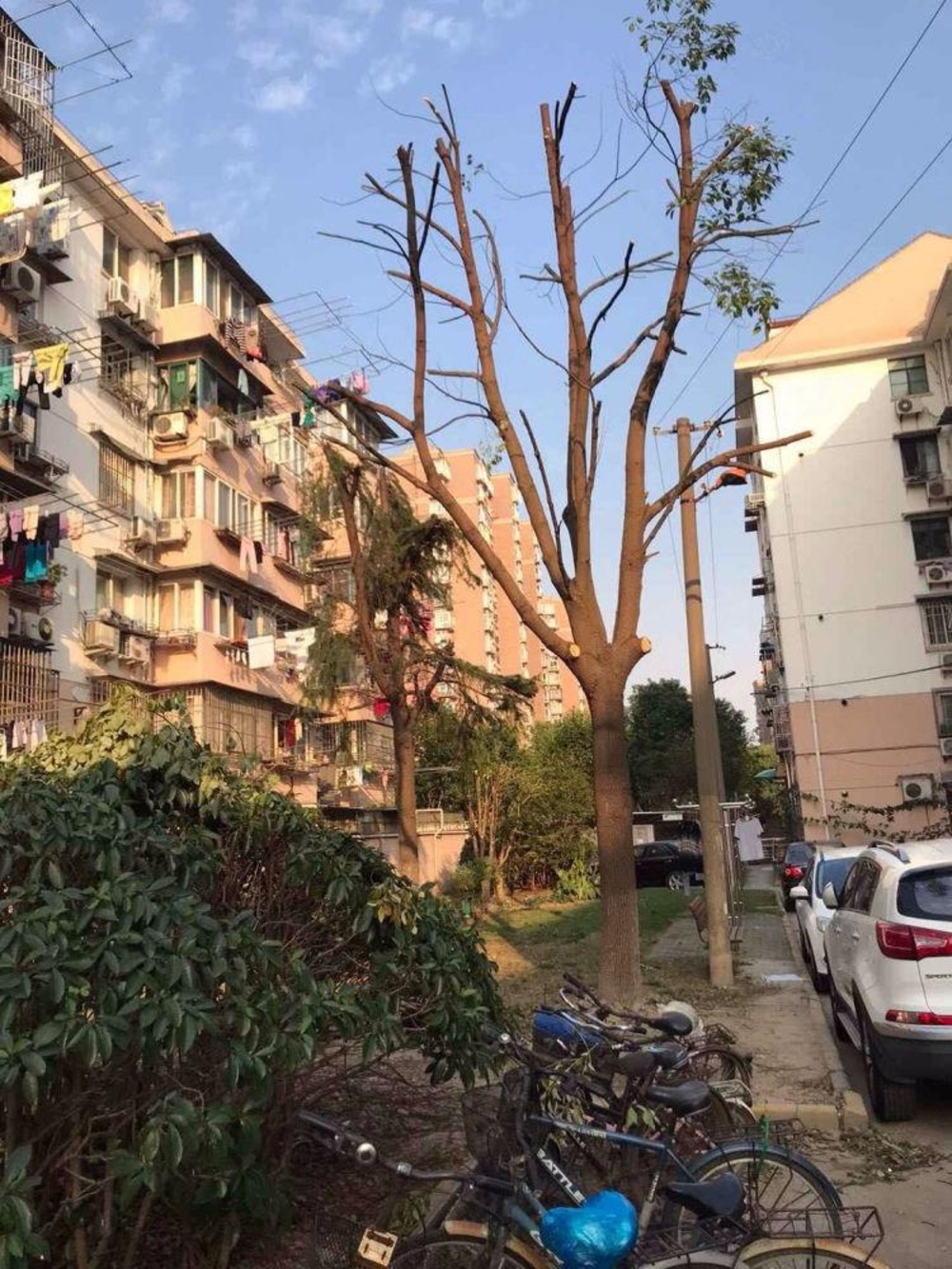 上海绿川小区(东区)二手房房源图片