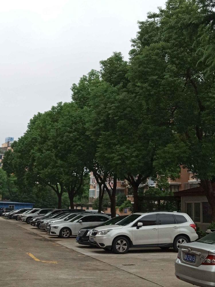 上海虹康新苑二手房房源图片