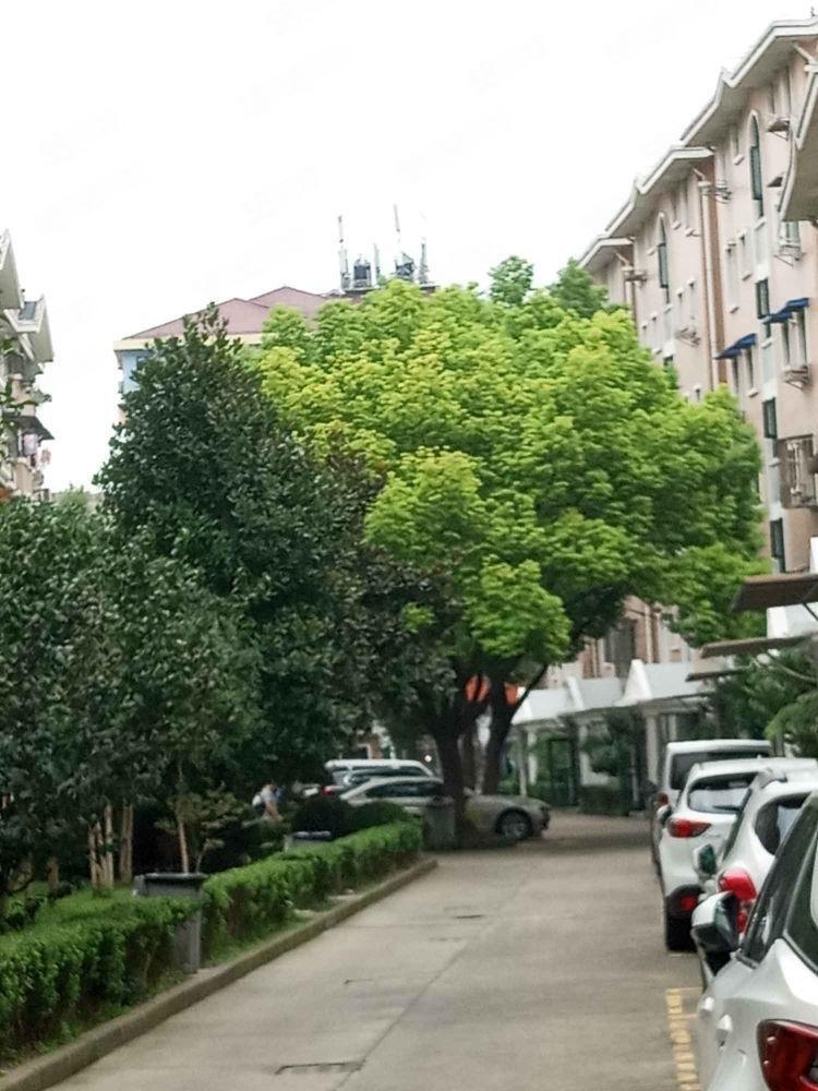 上海虹康新苑二手房房源图片