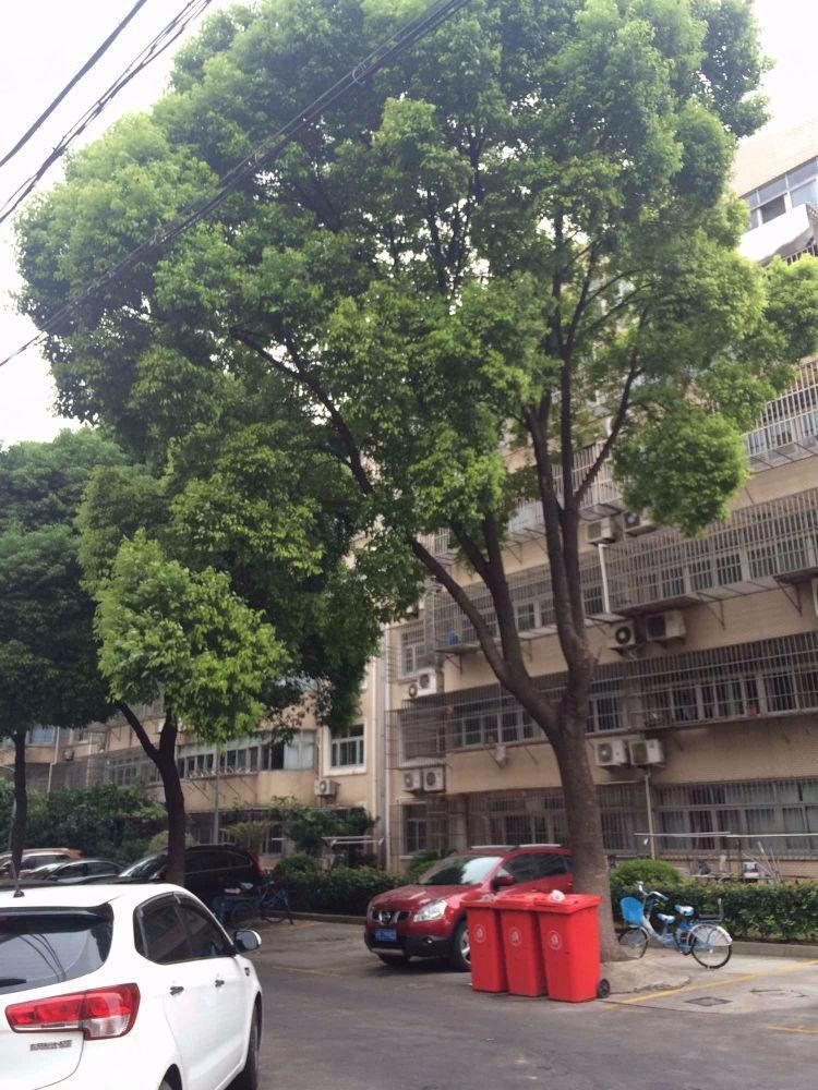 上海新川苑二手房房源图片