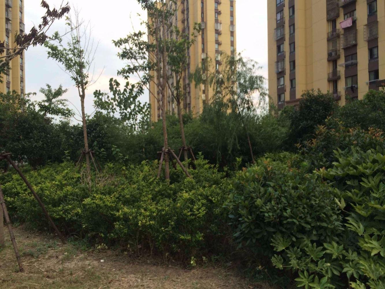上海金海华城永华苑二手房房源图片