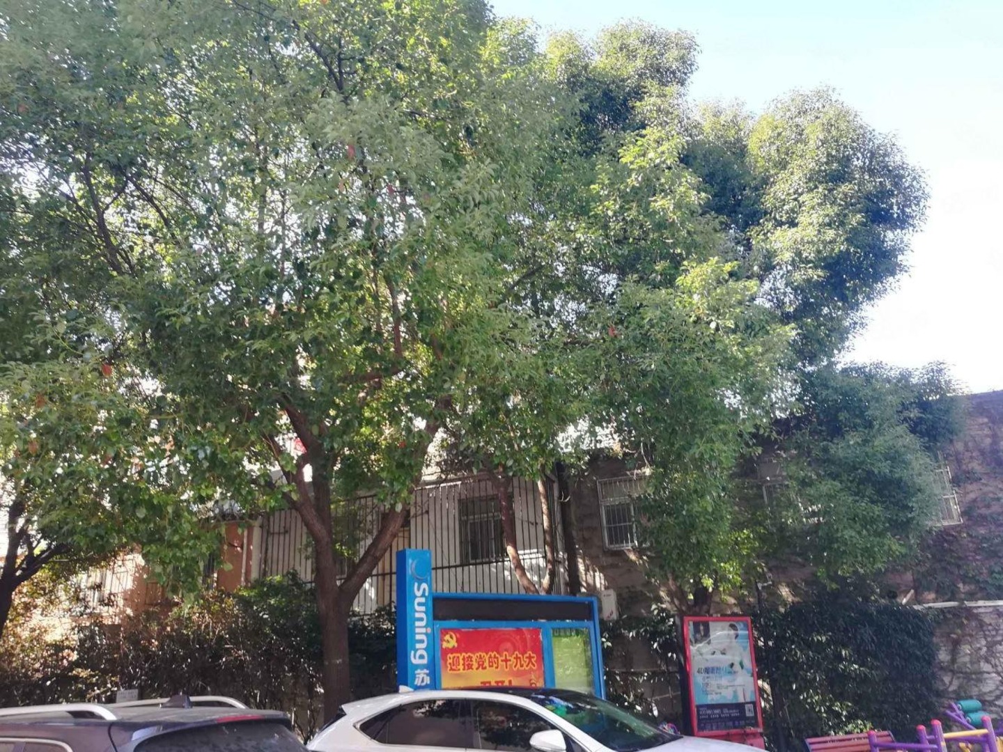 上海祥安公寓二手房房源图片