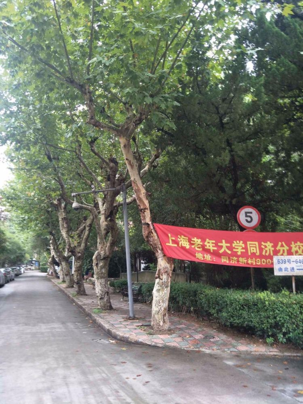 上海同济新村二手房房源图片